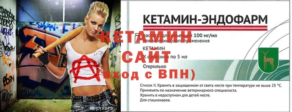 спиды Пересвет