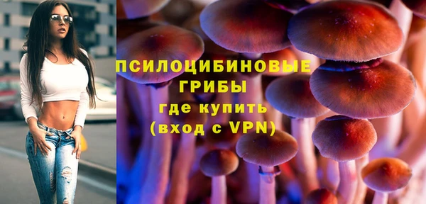 спиды Пересвет