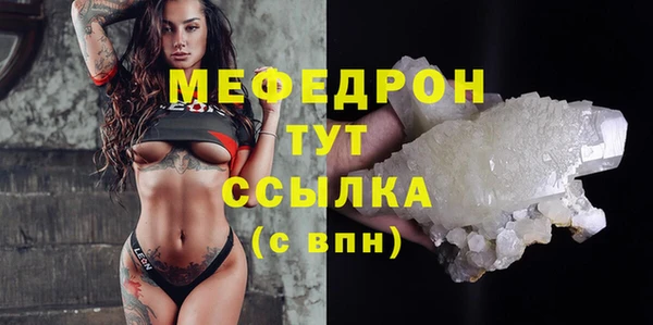 спиды Пересвет