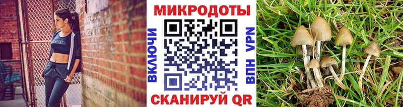 наркошоп  Саяногорск  Псилоцибиновые грибы Magic Shrooms 