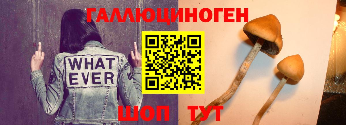 Саяногорск  цена наркотик  Вход с VPN  Галлюциногенные грибы мицелий  Галлюциногенные грибы мицелий 